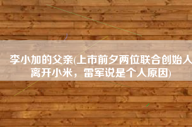 李小加的父亲(上市前夕两位联合创始人离开小米，雷军说是个人原因)