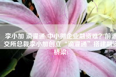 李小加 滴灌通(中小微企业融资难？前港交所总裁李小加创立“滴灌通”搭建融资桥梁)