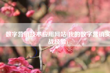数字营销技术应用网站(我的数字营销实战经验)