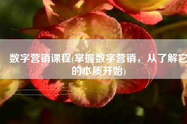 数字营销课程(掌握数字营销，从了解它的本质开始)