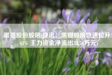 黑猫股份股吧(快讯：黑猫股份急速拉升5.61% 主力资金净流出33.56万元)