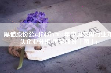黑猫股份公司简介(2021年中国炭黑行业龙头企业分析-黑猫股份「图」)