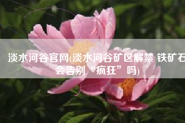 淡水河谷官网(淡水河谷矿区解禁 铁矿石会告别“疯狂”吗)