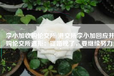 李小加收购伦交所(港交所李小加回应并购伦交所遭拒：提婚晚了，要继续努力)