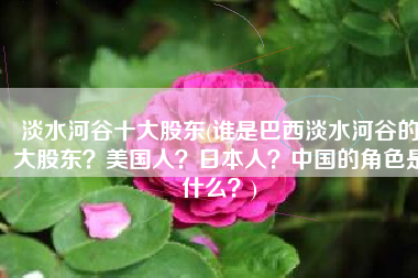 淡水河谷十大股东(谁是巴西淡水河谷的大股东？美国人？日本人？中国的角色是什么？)