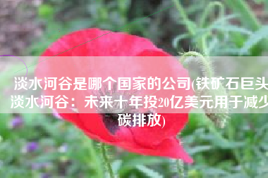 淡水河谷是哪个国家的公司(铁矿石巨头淡水河谷：未来十年投20亿美元用于减少碳排放)