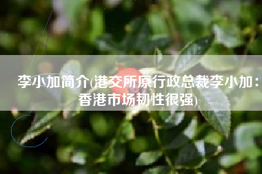 李小加简介(港交所原行政总裁李小加：香港市场韧性很强)