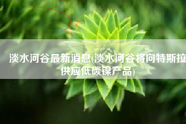 淡水河谷最新消息(淡水河谷将向特斯拉供应低碳镍产品)