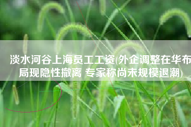 淡水河谷上海员工工资(外企调整在华布局现隐性撤离 专家称尚未规模退潮)