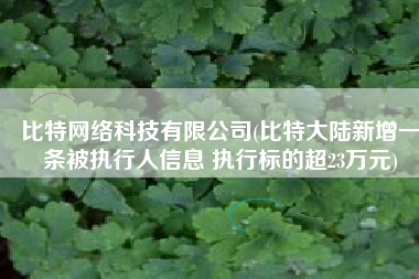 比特网络科技有限公司(比特大陆新增一条被执行人信息 执行标的超23万元)