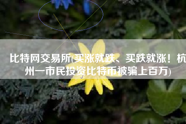 比特网交易所(买涨就跌、买跌就涨！杭州一市民投资比特币被骗上百万)