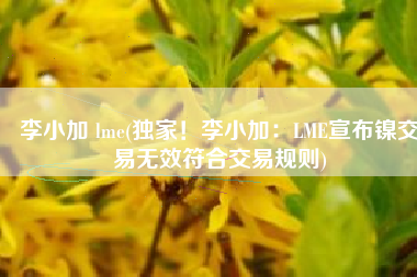 李小加 lme(独家！李小加：LME宣布镍交易无效符合交易规则)