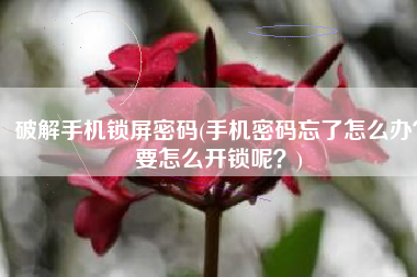 破解手机锁屏密码(手机密码忘了怎么办？要怎么开锁呢？)