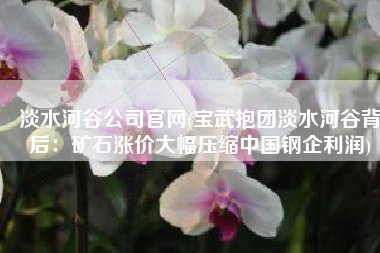 淡水河谷公司官网(宝武抱团淡水河谷背后：矿石涨价大幅压缩中国钢企利润)