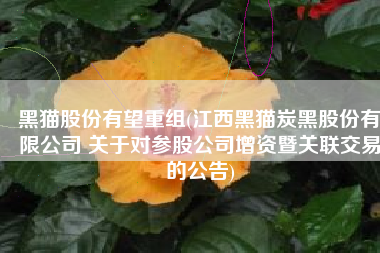 黑猫股份有望重组(江西黑猫炭黑股份有限公司 关于对参股公司增资暨关联交易的公告)