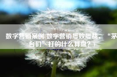 数字营销案例(数字营销屡败屡战，“茅台们”打的什么算盘？)
