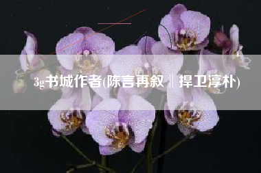3g书城作者(陈言再叙‖捍卫淳朴)