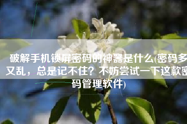 破解手机锁屏密码的神器是什么(密码多又乱，总是记不住？不妨尝试一下这款密码管理软件)