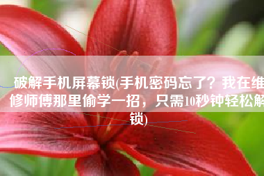 破解手机屏幕锁(手机密码忘了？我在维修师傅那里偷学一招，只需10秒钟轻松解锁)