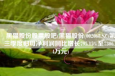 黑猫股份股票股吧(黑猫股份(002068.SZ)第三季度归母净利润同比增长795.15%至7306.34万元)