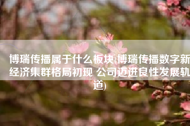 博瑞传播属于什么板块(博瑞传播数字新经济集群格局初现 公司迈进良性发展轨道)