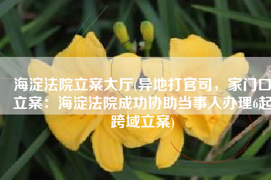 海淀法院立案大厅(异地打官司，家门口立案：海淀法院成功协助当事人办理6起跨域立案)