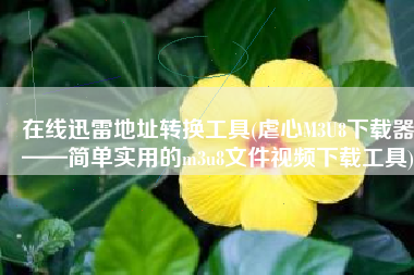 在线迅雷地址转换工具(虐心M3U8下载器——简单实用的m3u8文件视频下载工具)