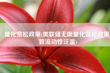 量化宽松政策(美联储无限量化宽松政策 致流动性泛滥)