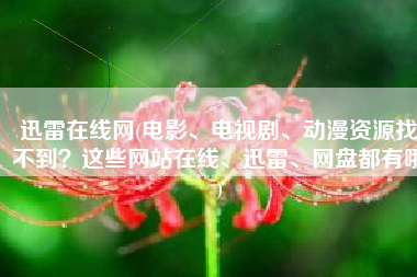 迅雷在线网(电影、电视剧、动漫资源找不到？这些网站在线、迅雷、网盘都有哦)