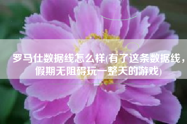 罗马仕数据线怎么样(有了这条数据线，假期无阻碍玩一整天的游戏)