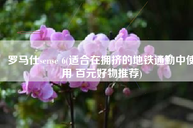 罗马仕sense 6(适合在拥挤的地铁通勤中使用 百元好物推荐)