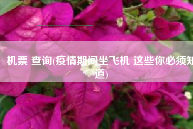 机票 查询(疫情期间坐飞机 这些你必须知道)