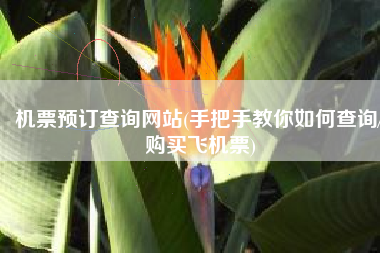 机票预订查询网站(手把手教你如何查询/购买飞机票)