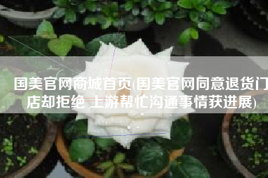 国美官网商城首页(国美官网同意退货门店却拒绝 上游帮忙沟通事情获进展)