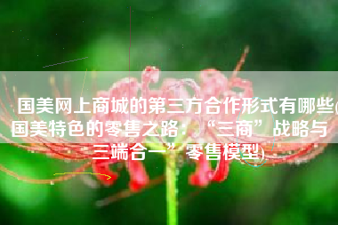 国美网上商城的第三方合作形式有哪些(国美特色的零售之路：“三商”战略与“三端合一”零售模型)