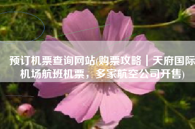 预订机票查询网站(购票攻略｜天府国际机场航班机票，多家航空公司开售)