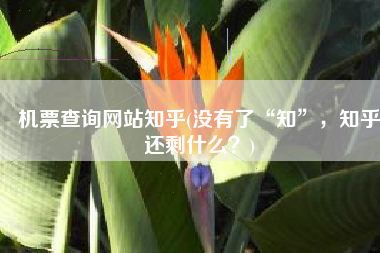 机票查询网站知乎(没有了“知”，知乎还剩什么？)