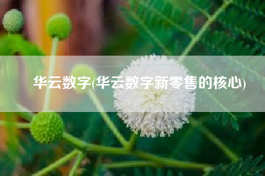 华云数字(华云数字新零售的核心)