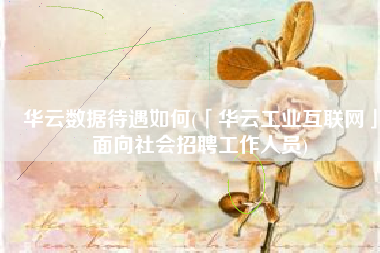 华云数据待遇如何(「华云工业互联网」面向社会招聘工作人员)