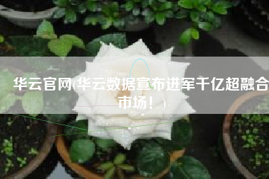 华云官网(华云数据宣布进军千亿超融合市场！)