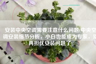 安装中央空调需要注意什么问题(中央空调安装细节分析，小白也能成为专家，别再担忧安装问题了)