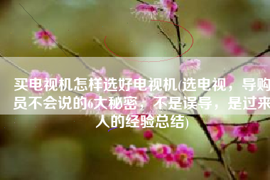 买电视机怎样选好电视机(选电视，导购员不会说的6大秘密，不是误导，是过来人的经验总结)