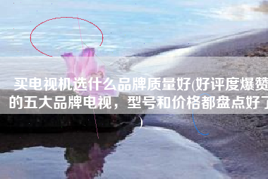 买电视机选什么品牌质量好(好评度爆赞的五大品牌电视，型号和价格都盘点好了)