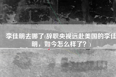 李佳明去哪了(辞职央视远赴美国的李佳明，如今怎么样了？)