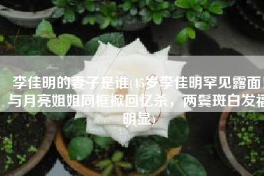 李佳明的妻子是谁(45岁李佳明罕见露面！与月亮姐姐同框掀回忆杀，两鬓斑白发福明显)