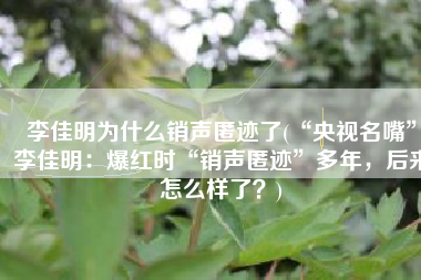 李佳明为什么销声匿迹了(“央视名嘴”李佳明：爆红时“销声匿迹”多年，后来怎么样了？)