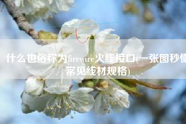 什么也俗称为firewire火线接口(一张图秒懂常见线材规格)