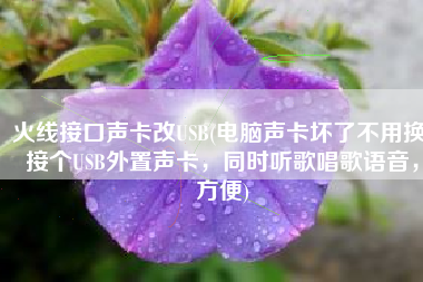 火线接口声卡改USB(电脑声卡坏了不用换！接个USB外置声卡，同时听歌唱歌语音，方便)