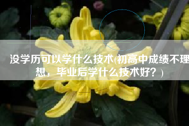 没学历可以学什么技术(初高中成绩不理想，毕业后学什么技术好？)
