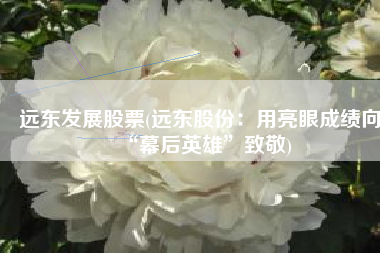 远东发展股票(远东股份：用亮眼成绩向“幕后英雄”致敬)
